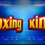 boxing king 3 web 3 YAK 88 .com เว็บตรง สล็อต PG อันดับ 1 ฝากถอนออโต้ มั่นคง ปลอดภัย