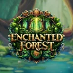 slot master: 7 กลยุทธ์ทรงพลังพิชิต Enchanted Forest ปี 2026 3 enchanted forest 3 web 3 YAK 88 .com เว็บตรง สล็อต PG อันดับ 1 ฝากถอนออโต้ มั่นคง ปลอดภัย