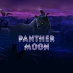 สล็อต easy 5 สูตรเด็ด Panther Moon พารวยถล่มทลาย 3 Panther Moon 9 web 9 YAK 88 .com เว็บตรง สล็อต PG อันดับ 1 ฝากถอนออโต้ มั่นคง ปลอดภัย