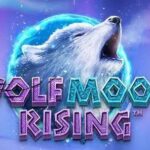 slot casino online รีวิว Wolf Moon Rising สล็อตหมาป่าล่าดวงจันทร์และเทคนิคทำกำไร 2026 3 wolf moon rising 3 YAK 88 .com เว็บตรง สล็อต PG อันดับ 1 ฝากถอนออโต้ มั่นคง ปลอดภัย